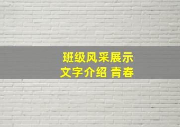 班级风采展示文字介绍 青春